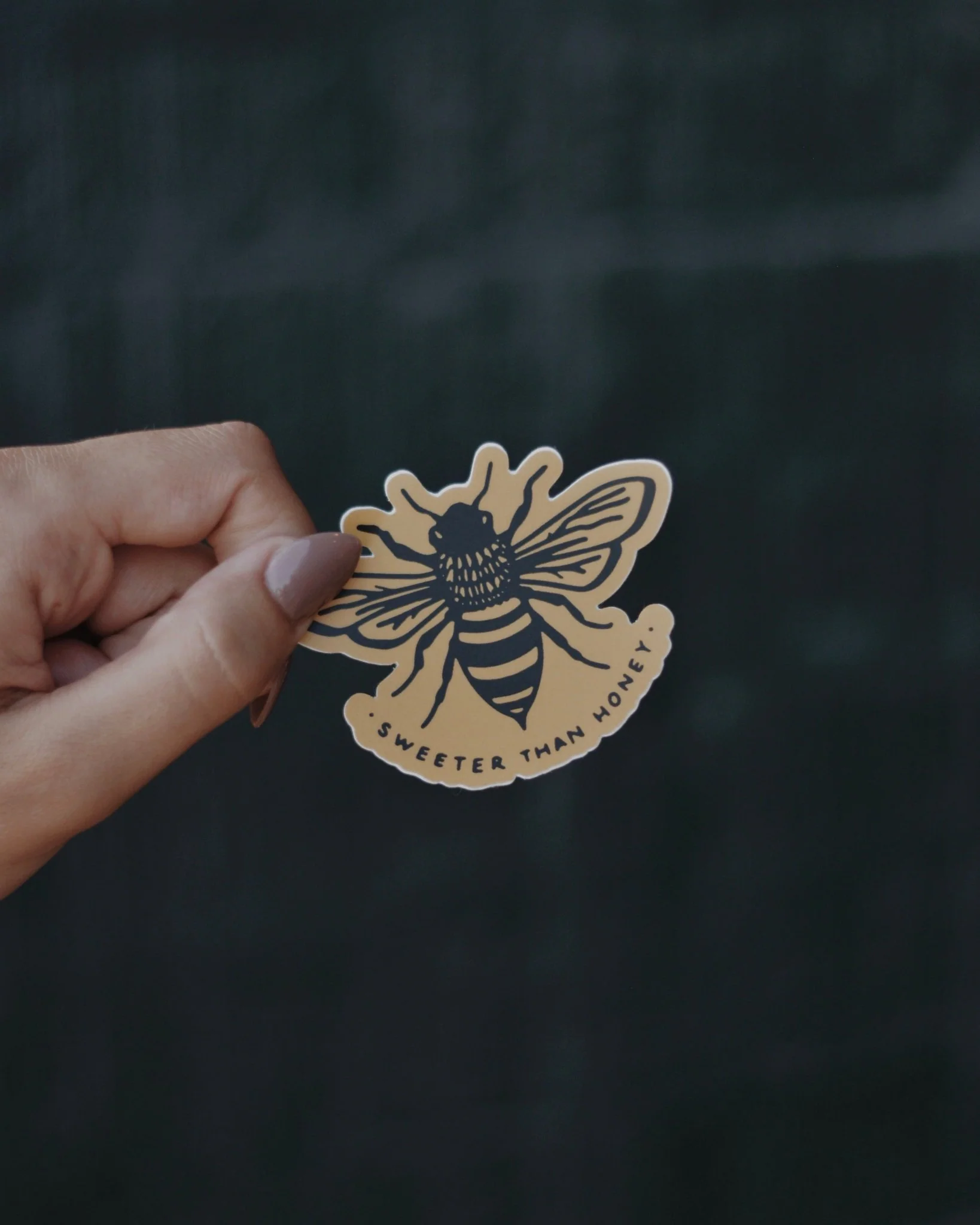 "Proclamation" Stickers - Image 4